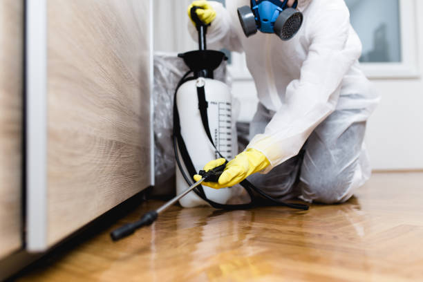 Pest Control for Restaurants in Ladera, CA