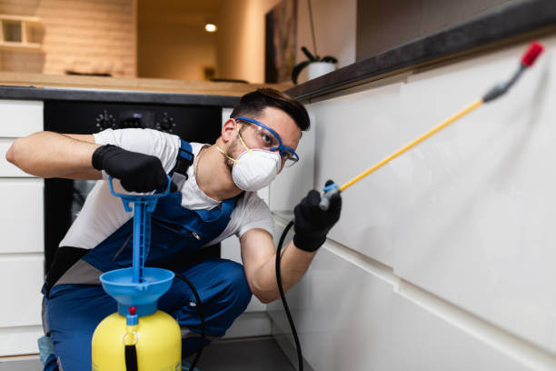 Best Pest Control Near Me  in Ladera, CA