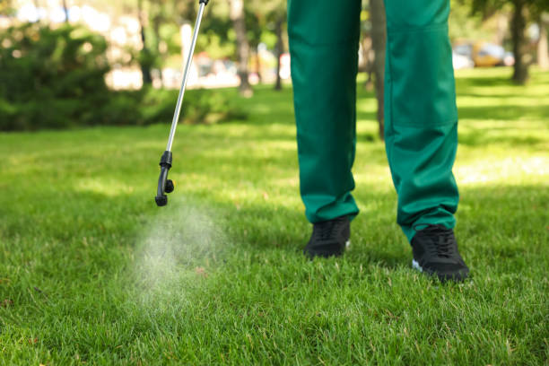 Best Pest Control for Restaurants  in Ladera, CA