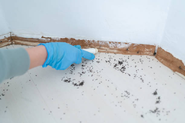 Best Affordable Pest Control Services  in Ladera, CA