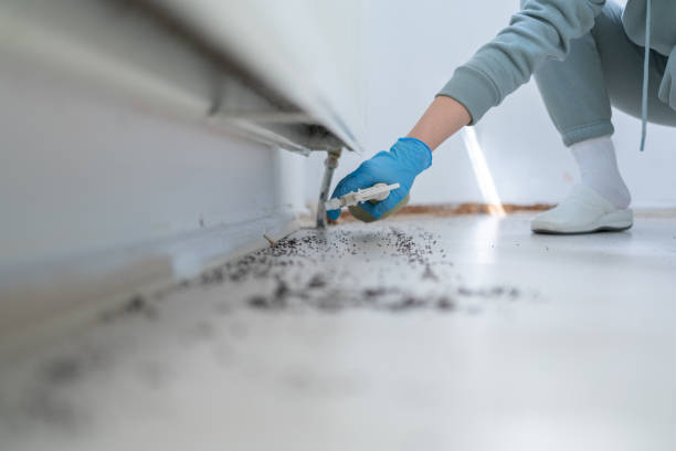Best Affordable Exterminators  in Ladera, CA